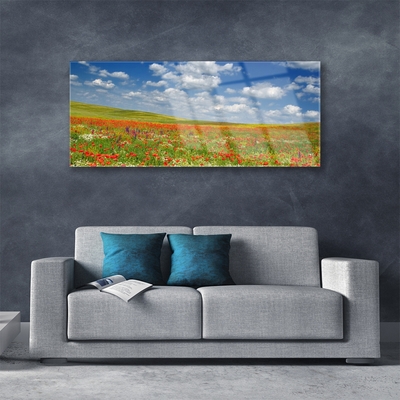 Glasbilder Wiese Blumen Landschaft