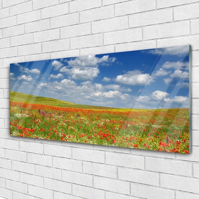 Glasbilder Wiese Blumen Landschaft