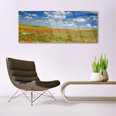 Glasbilder Wiese Blumen Landschaft