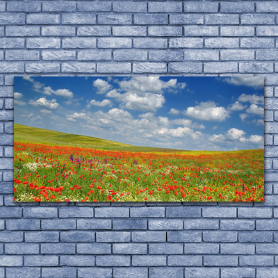 Glasbilder Wiese Blumen Landschaft