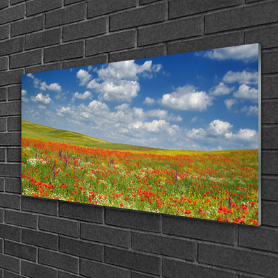 Glasbilder Wiese Blumen Landschaft