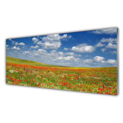 Glasbilder Wiese Blumen Landschaft