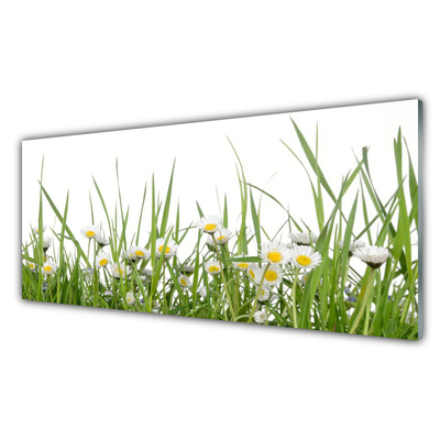 Glasbilder Gras Gänseblümchen Natur