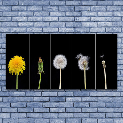 Glasbilder Pusteblume Löwenzahn Pflanzen