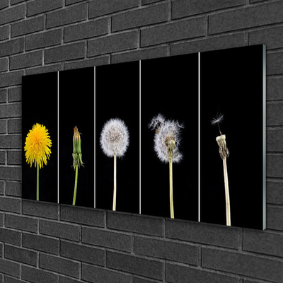 Glasbilder Pusteblume Löwenzahn Pflanzen