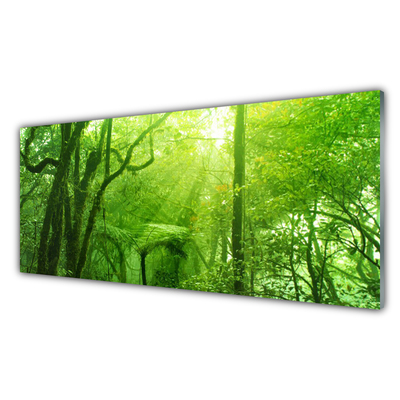 Glasbilder Bäume Natur