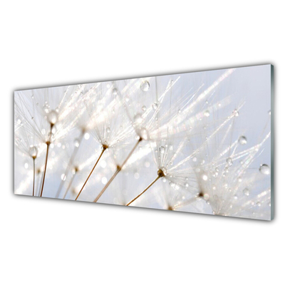 Acrylglasbilder 100x50 Wandbild Druck Pusteblume Pflanzen 