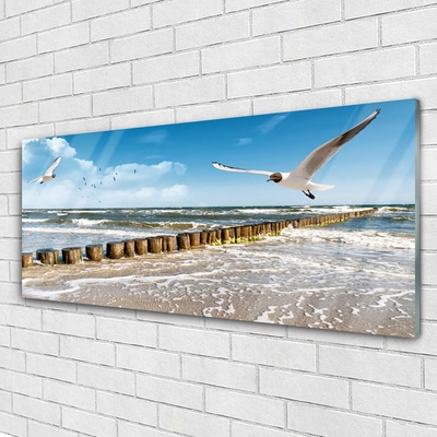 Glasbilder Möwen Meer Landschaft