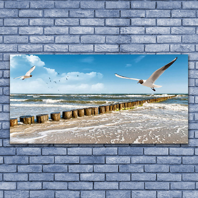 Glasbilder Möwen Meer Landschaft