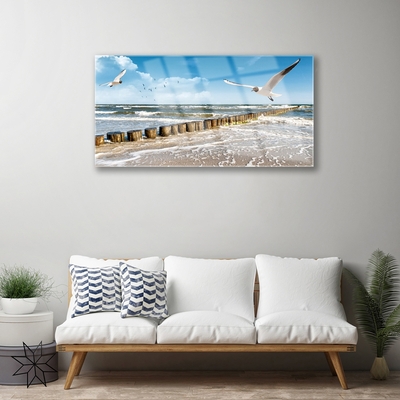 Glasbilder Möwen Meer Landschaft