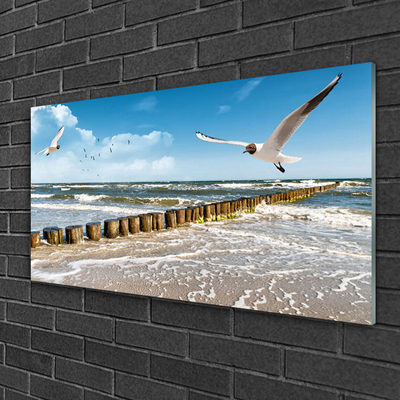 Glasbilder Möwen Meer Landschaft
