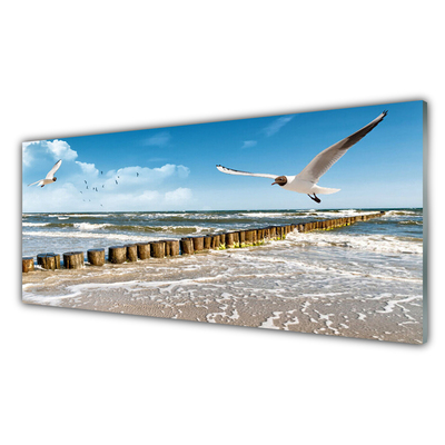 Glasbilder Möwen Meer Landschaft