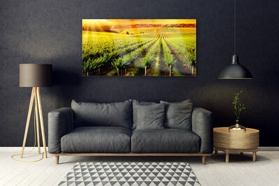 Glasbilder Acker Natur