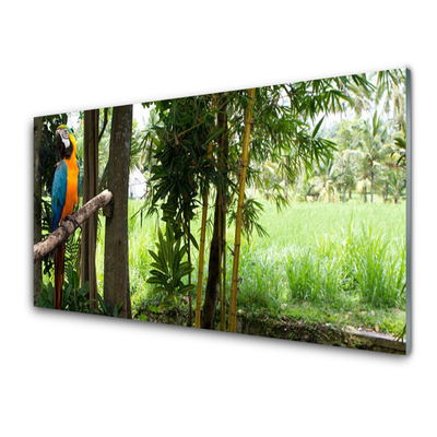 Glasbilder Papagei Bäume Natur
