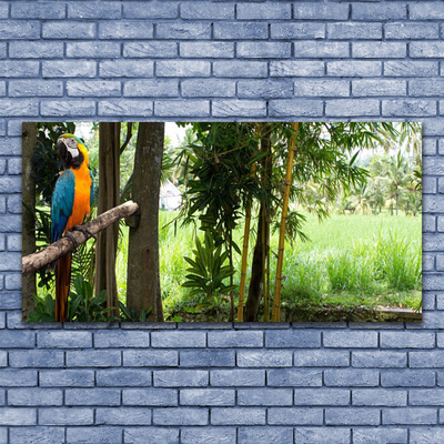 Glasbilder Papagei Bäume Natur