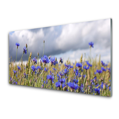 Glasbilder Wandbild Druck auf Glas 120x60 Sonne Wiese Blumen Natur
