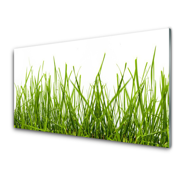 Druck auf Glas Gras Natur
