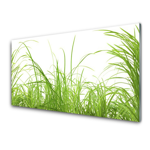 Druck auf Glas Gras Natur
