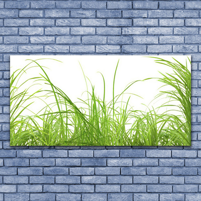 Druck auf Glas Gras Natur