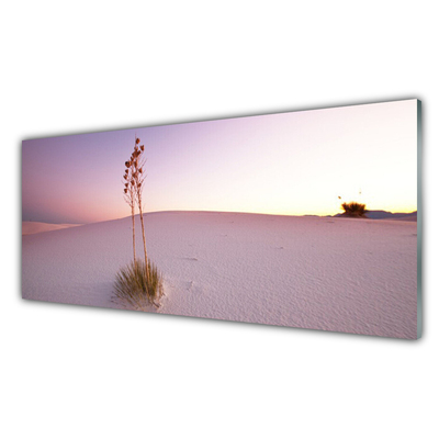 Druck auf Glas Wüste Landschaft