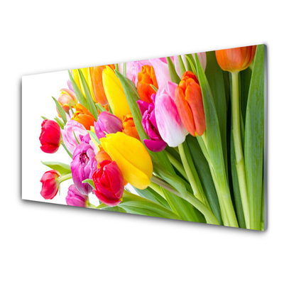 Druck auf Glas Tulpen Pflanzen