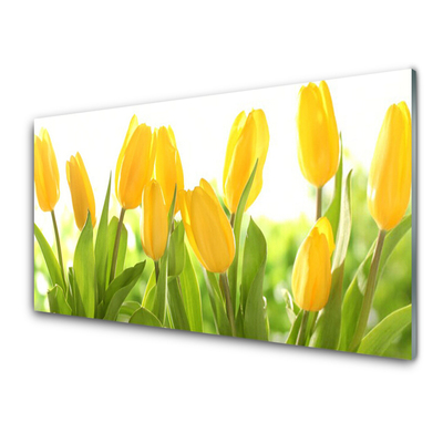 Druck auf Glas Tulpen Pflanzen