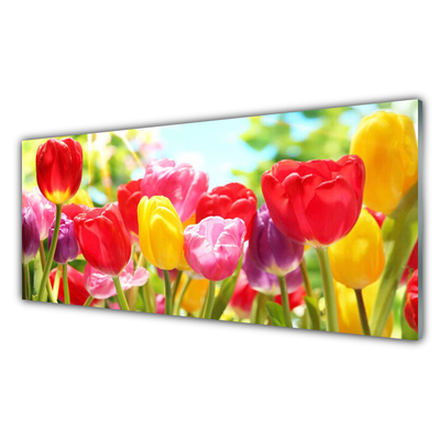 Druck auf Glas Tulpen Pflanzen