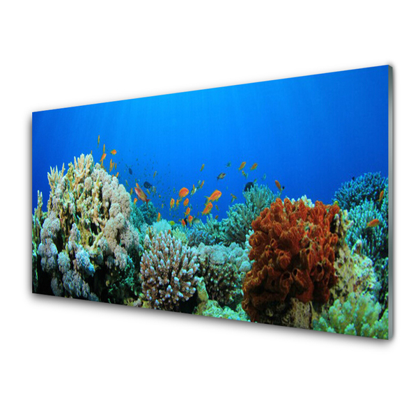 Druck auf Glas Korallenriff Natur