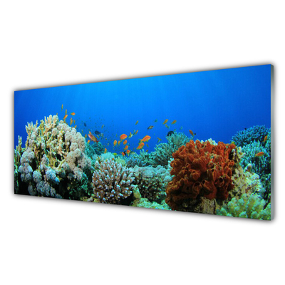 Druck auf Glas Korallenriff Natur