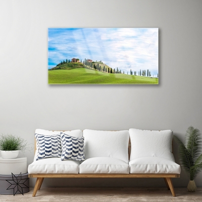 Druck auf Glas Wiese Bäume Landschaft
