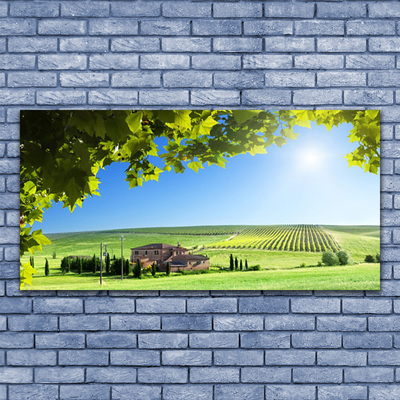 Druck auf Glas Ackerfeld Blätter Landschaft