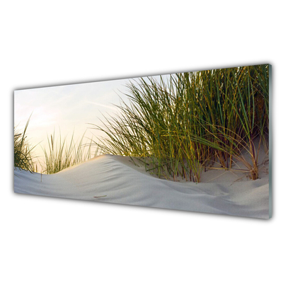 Druck auf Glas Sand Gras Landschaft