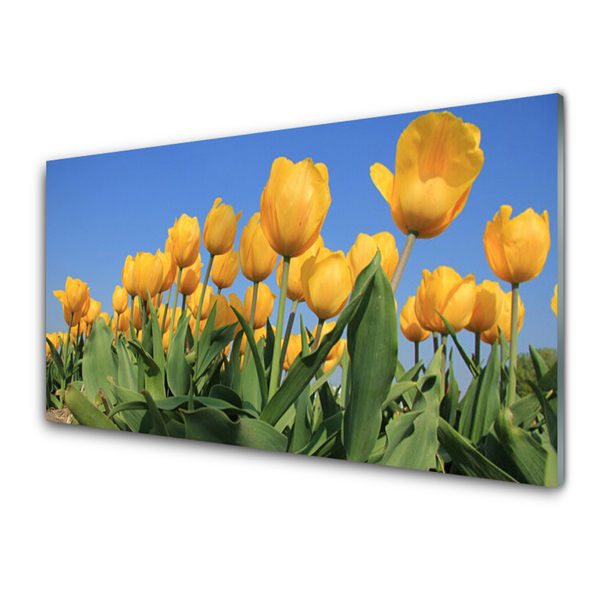 Druck auf Glas Tulpen Pflanzen