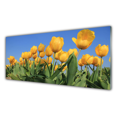 Druck auf Glas Tulpen Pflanzen