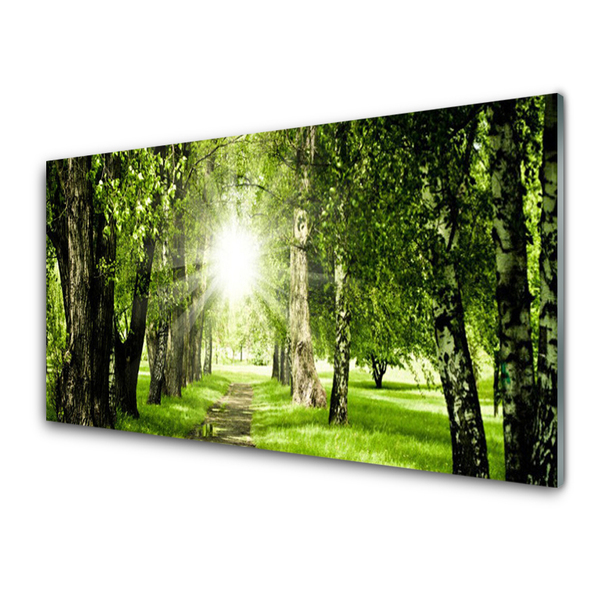 wald-sonne-fuspfad-natur