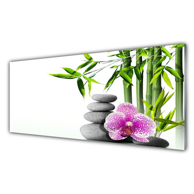 Druck auf Glas Bambusrohr Blume Steine Pflanzen