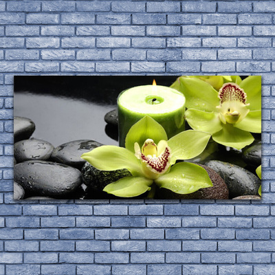 Druck auf Glas Blumen Steine Pflanzen