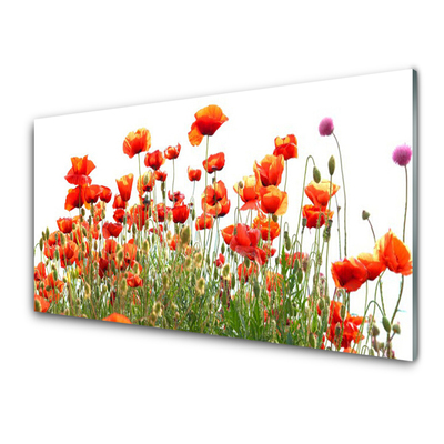 Druck auf Glas Mohnblumen Natur