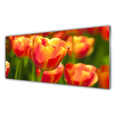 Druck auf Glas Tulpen Pflanzen