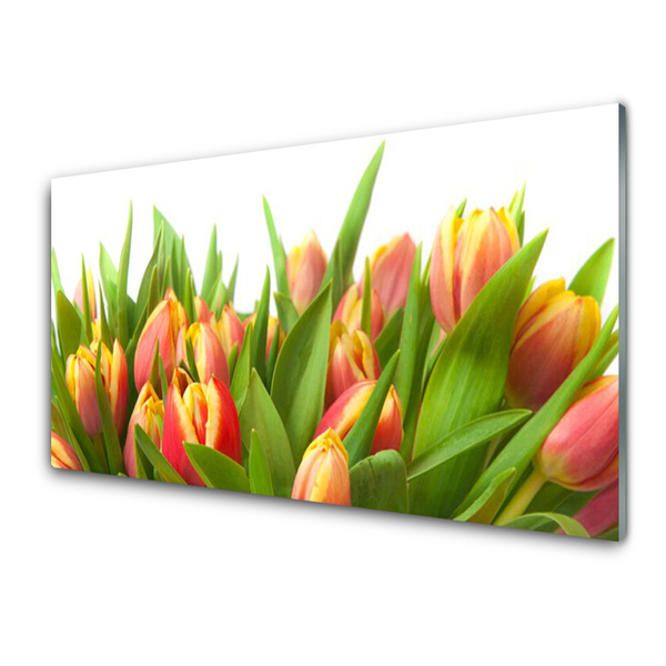 Druck auf Glas Tulpen Pflanzen