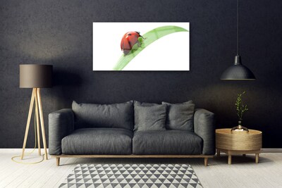 Druck auf Glas Marienkäfer Blatt Natur