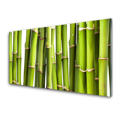 Druck auf Glas Bambusrohre Pflanzen