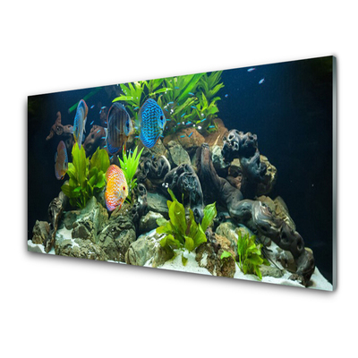 Druck auf Glas Fische Steine Blätter Natur