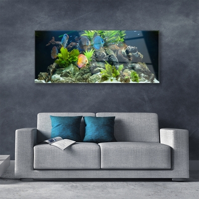 Druck auf Glas Fische Steine Blätter Natur