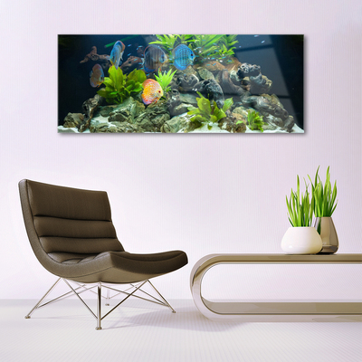 Druck auf Glas Fische Steine Blätter Natur
