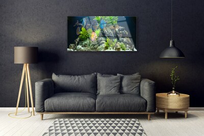 Druck auf Glas Fische Steine Blätter Natur