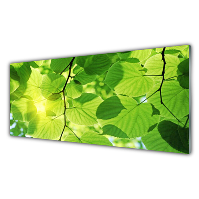 Druck auf Glas Blätter Pflanzen