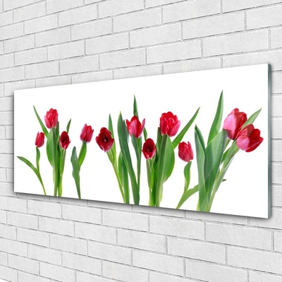 Druck auf Glas Tulpen Pflanzen