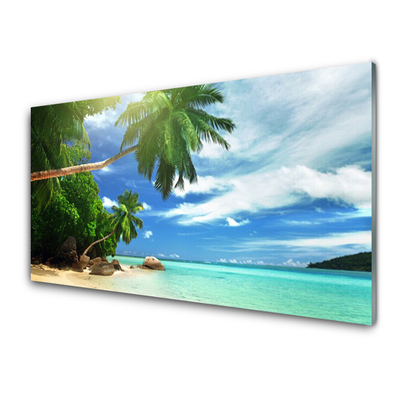 Druck auf Glas Palme Strand Meer Landschaft