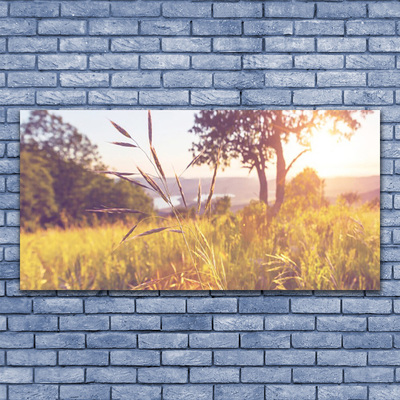 Druck auf Glas Wiese Gras Baum Natur